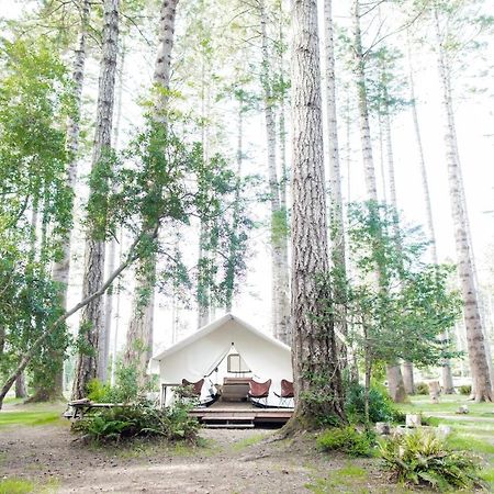 Mendocino Grove Hotell Eksteriør bilde